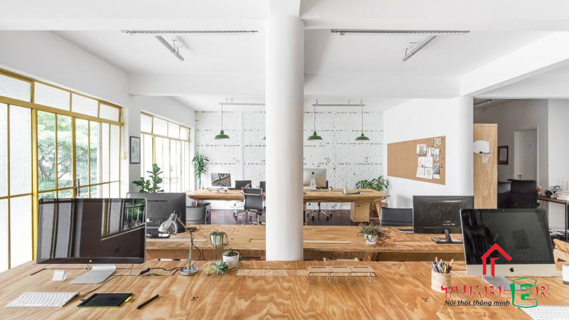Gỗ Plywood được ứng dụng trong không gian văn phòng
