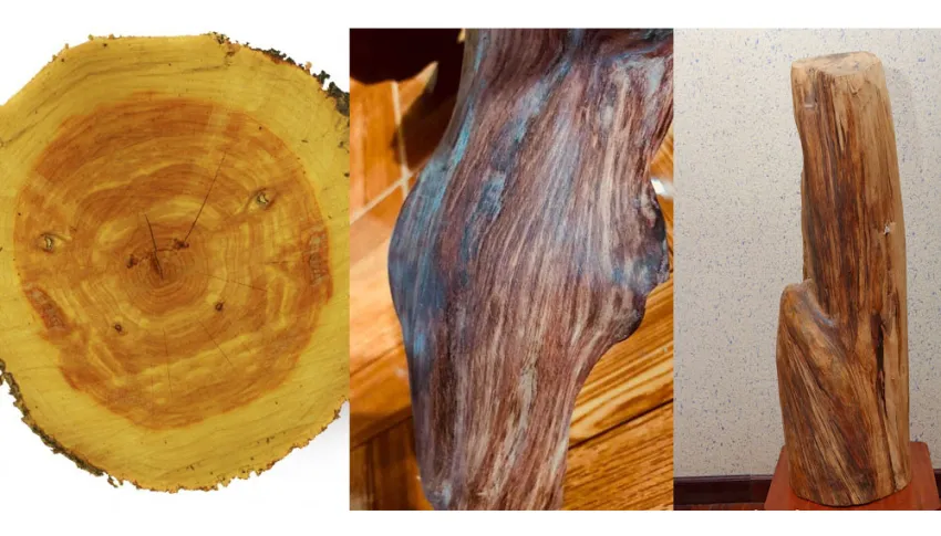 Phân biệt gỗ huỳnh đàn dựa vào màu sắc