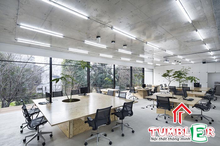 Thiết kế nội thất văn phòng làm việc chuyên nghiệp, hiện đại 2022 - Tumbler