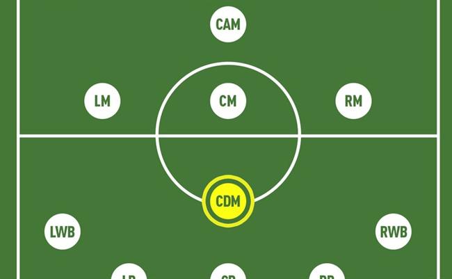 Sơ Đồ 4-2-3-1: Vai Trò Và Tầm Quan Trọng Trong Bóng Đá