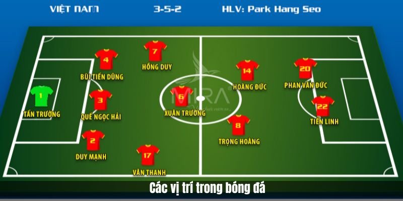 Các Vị Trí Trong Bóng Đá Chính Và Những Thông Tin Cần Biết