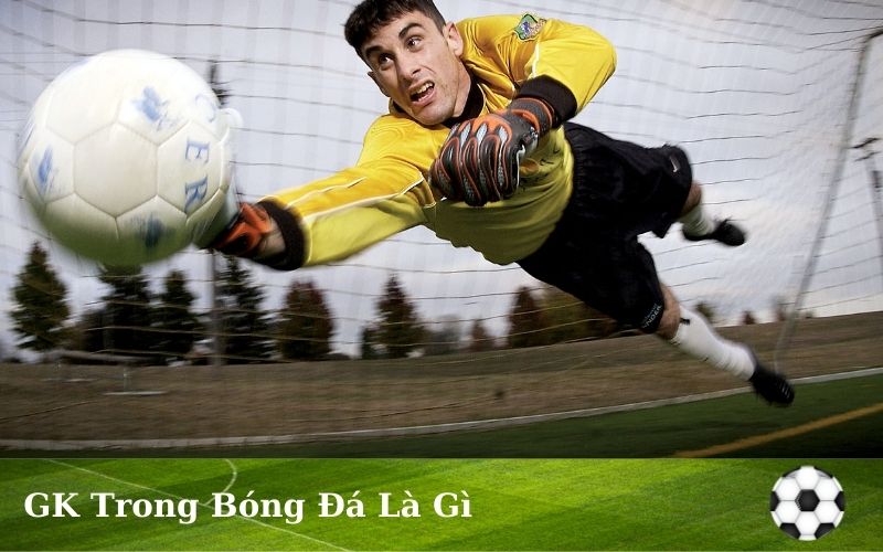 Thủ môn trong bóng đá là gì? Thủ môn nổi tiếng