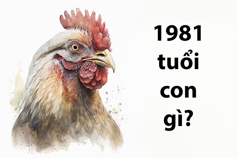Người sinh năm 1981 có vận mệnh thế nào? (hình ảnh 1)