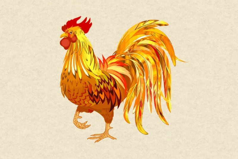 Người sinh năm 1981 có vận mệnh thế nào? (hình ảnh 2)
