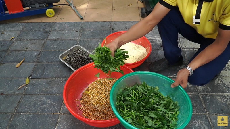Công thức trộn cám cho gà ĐÚNG CÁCH - ĐẠT HIỆU QUẢ CAO