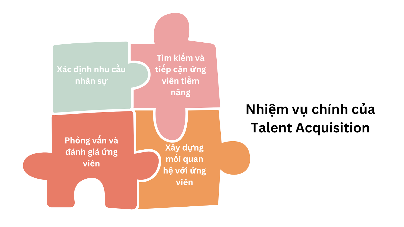 Nhiệm vụ chính của việc tuyển dụng nhân tài